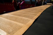 Tunisian Torah Scroll